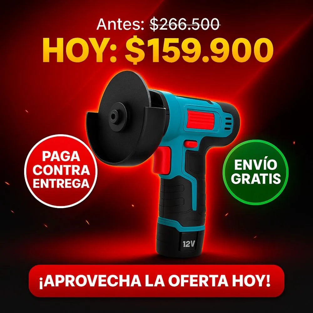 Mini Pulidora doble Batería 2 Discos